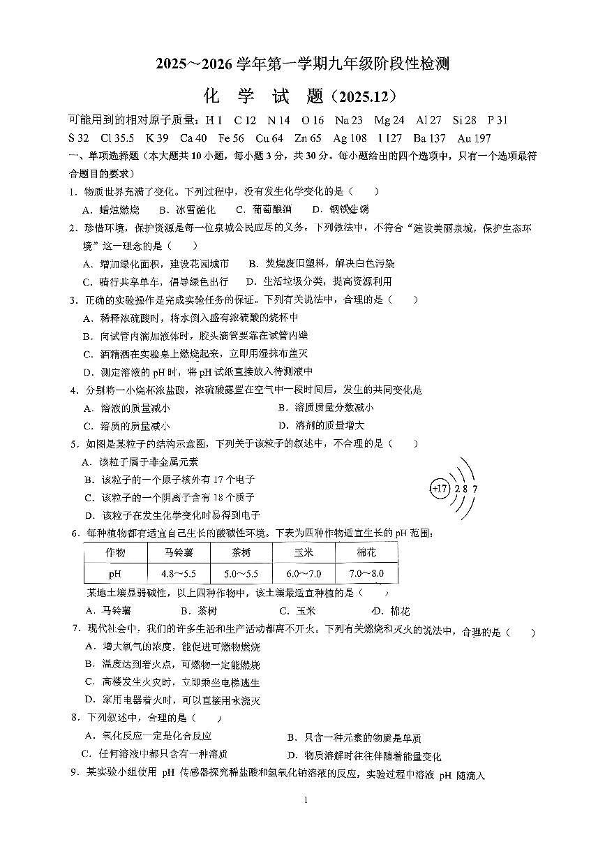 山东省济南市槐荫区泉新学校2025-2026学年九年级上学期12月月考化学试题（无答案）第1页