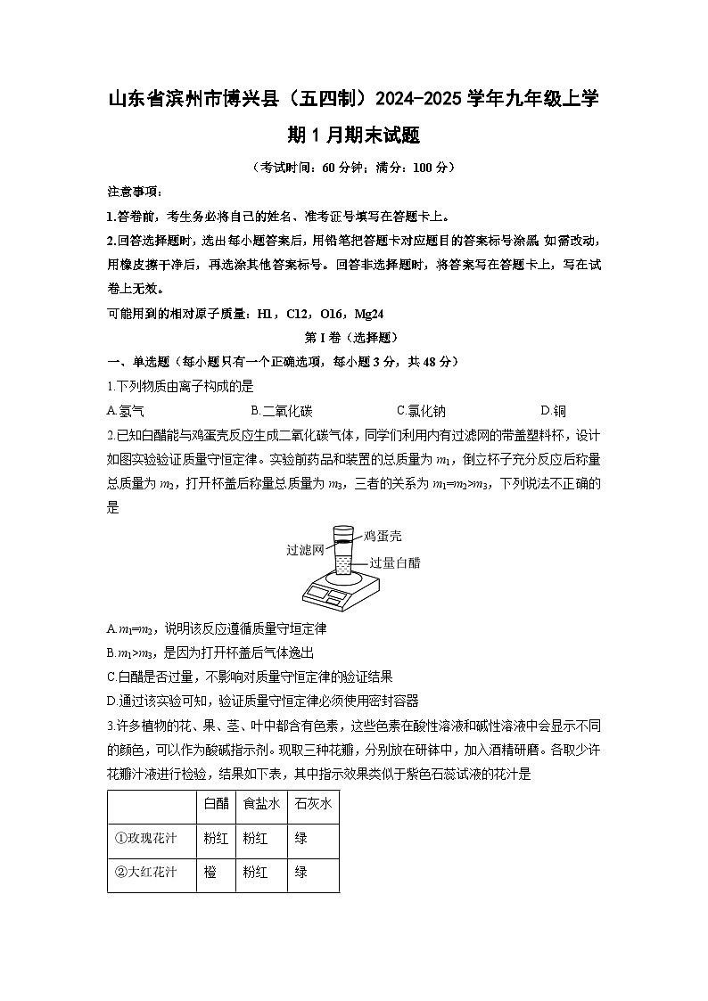 山东省滨州市博兴县（五四制）2024-2025学年九年级上学期1月期末化学试卷（学生版）第1页