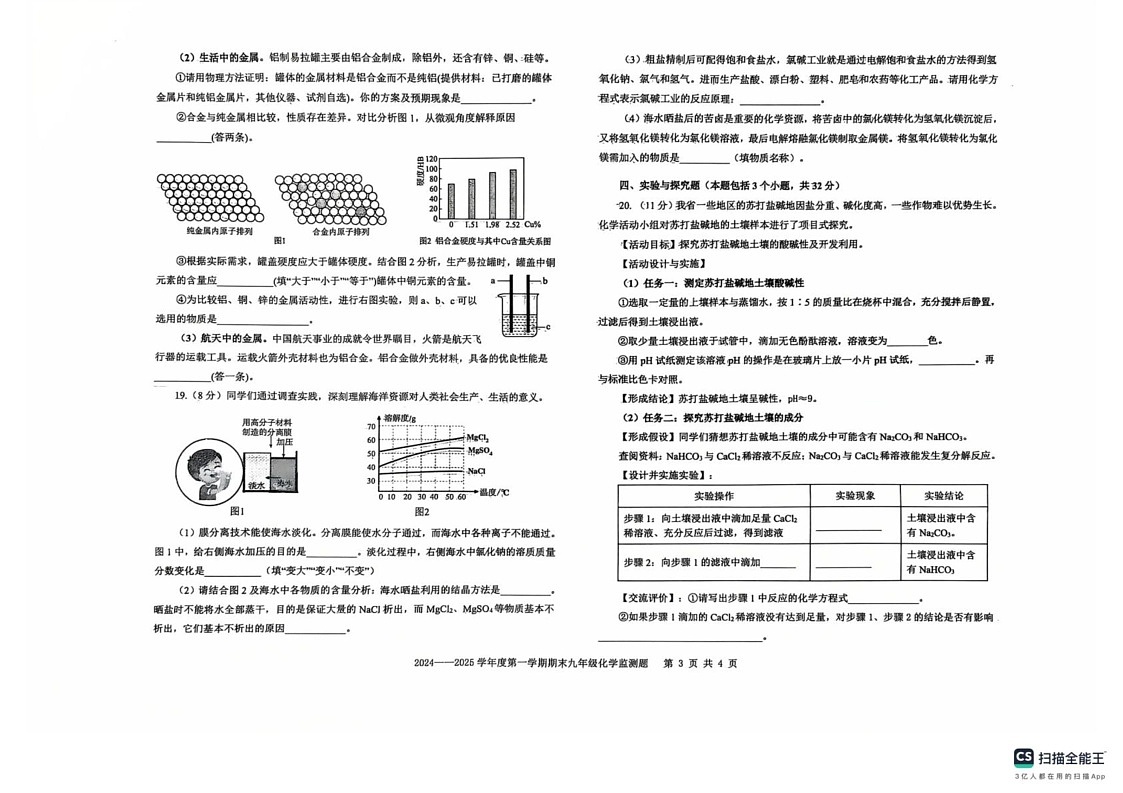 山东省烟台经济技术开发区2024-2025学年九年级上学期期末化学试卷第3页