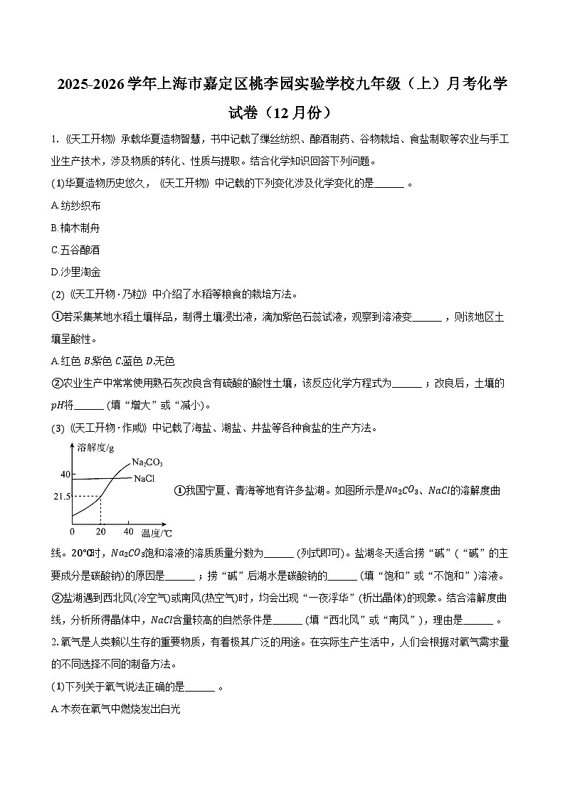 2025-2026学年上海市嘉定区桃李园实验学校九年级（上）月考化学试卷（12月份）（含答案）第1页