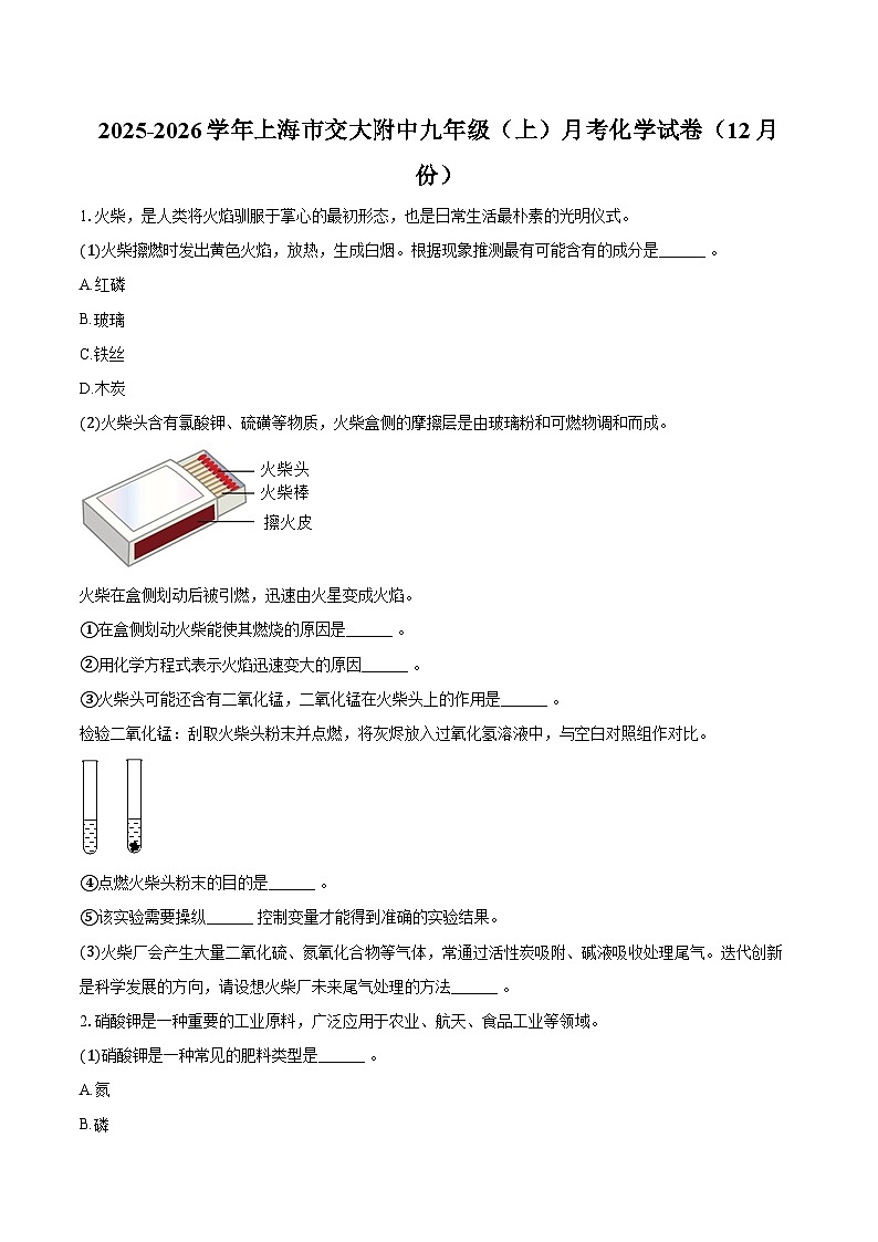 2025-2026学年上海市交大附中九年级（上）月考化学试卷（12月份）（含答案）第1页