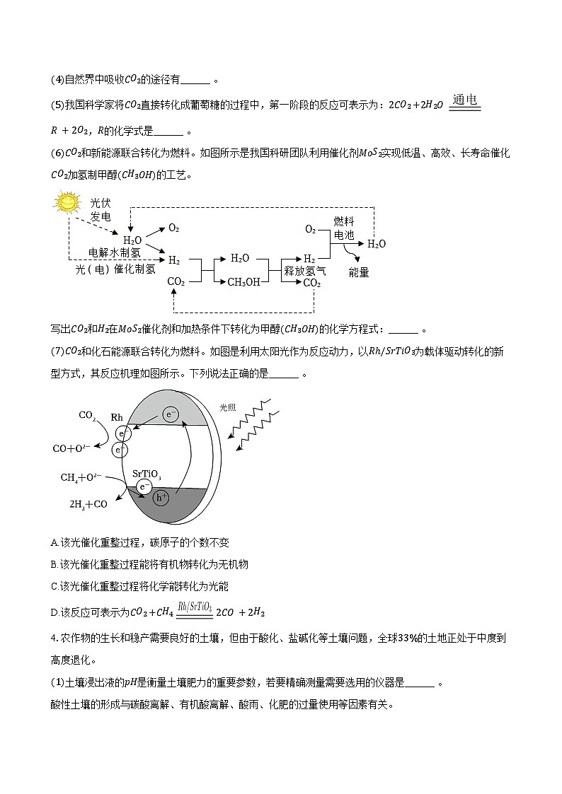 2025-2026学年上海市交大附中九年级（上）月考化学试卷（12月份）（含答案）第3页