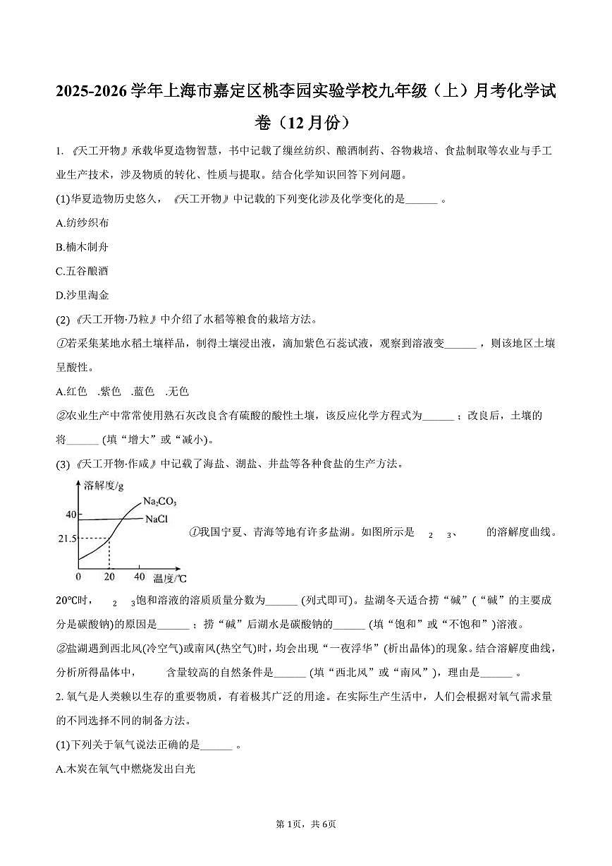 2025-2026学年上海市嘉定区桃李园实验学校九年级（上）月考化学试卷（12月份）（含答案）第1页