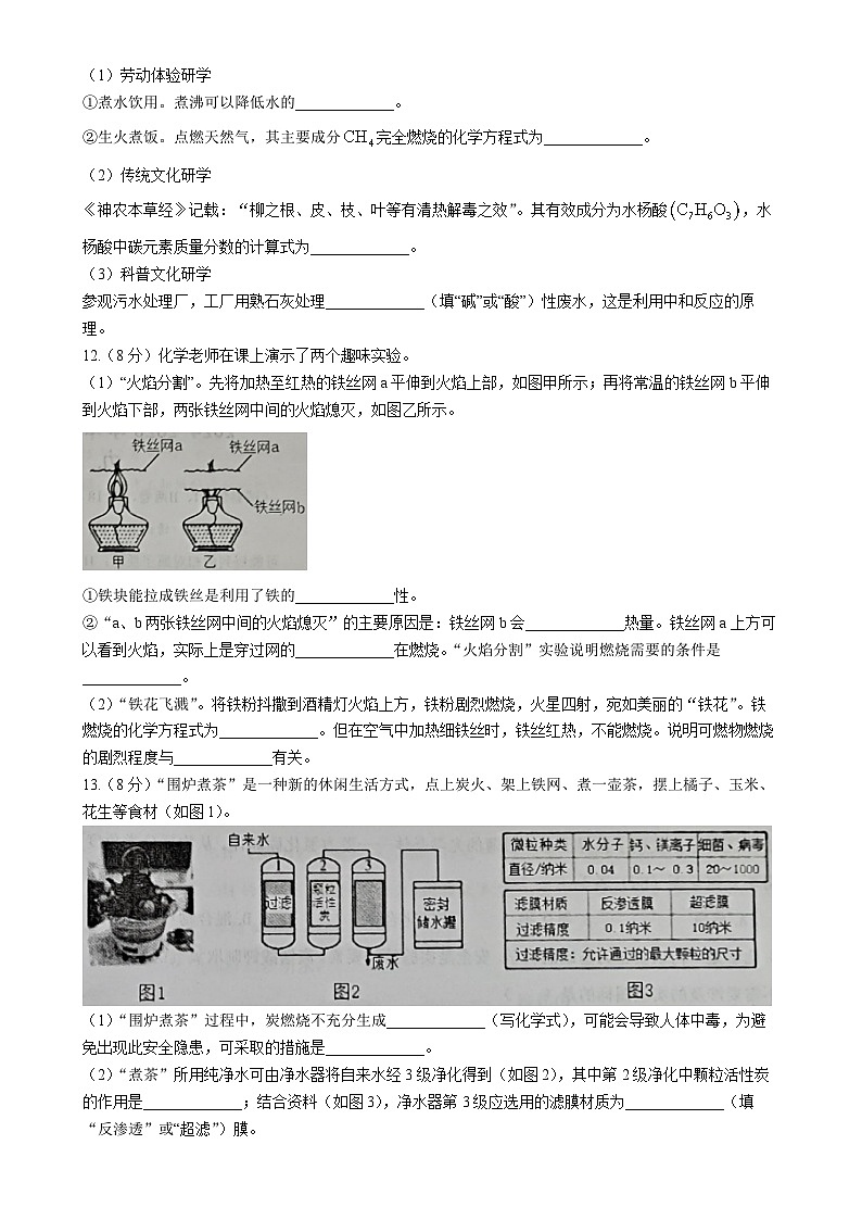 福建省三明市宁化县九年级下学期期中化学试题-A4第3页
