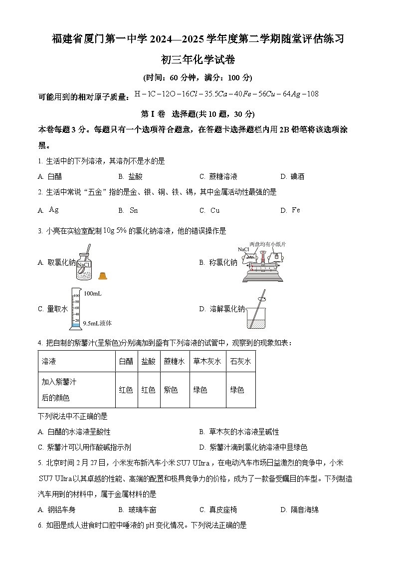 福建省厦门市第一中学九年级下学期3月随堂练习化学试题-A4第1页