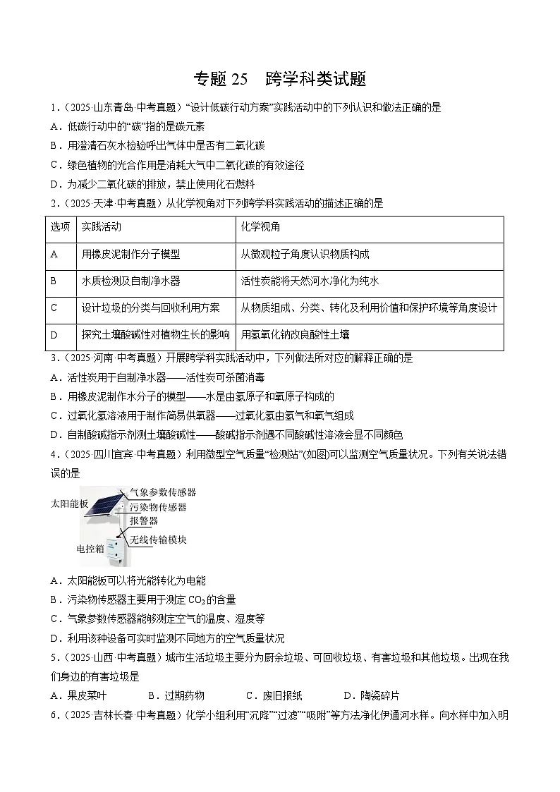 专题25 跨学科类试题（原卷版）第1页