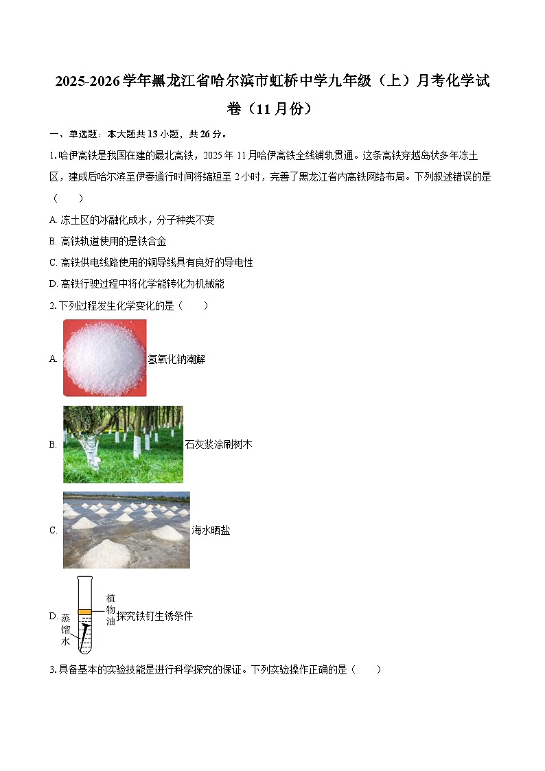 2025-2026学年黑龙江省哈尔滨市虹桥中学九年级（上）月考化学试卷（11月份）-自定义类型第1页