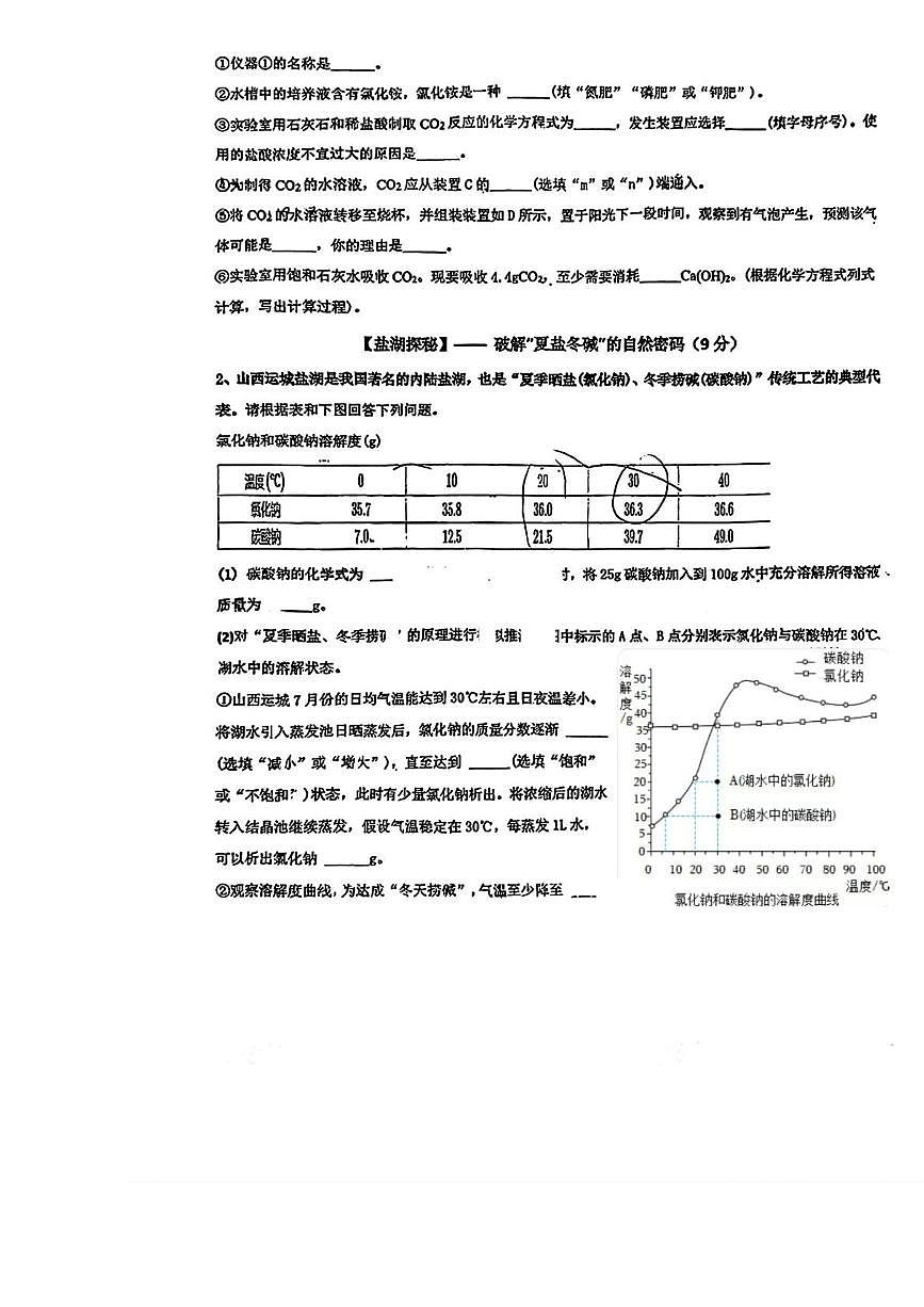 上海市浦东新区竹园中学2025-2026学年九年级上学期12月化学月考卷第2页