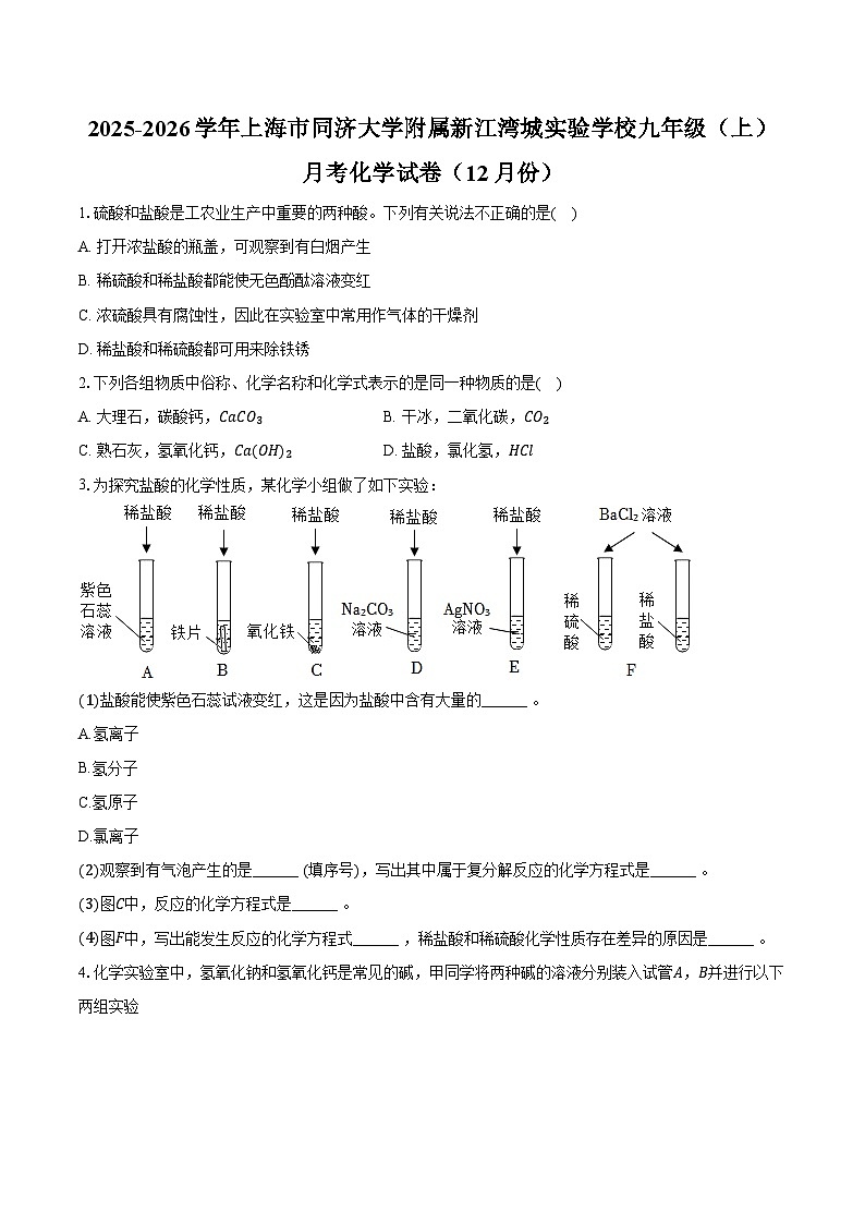 2025-2026学年上海市同济大学附属新江湾城实验学校九年级（上）月考化学试卷（12月份）（含答案）第1页