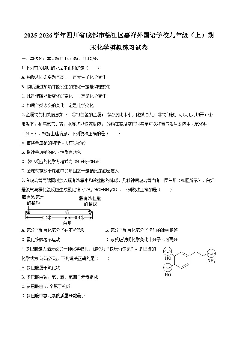 2025-2026学年四川省成都市锦江区嘉祥外国语学校九年级（上）期末化学模拟练习试卷-自定义类型第1页