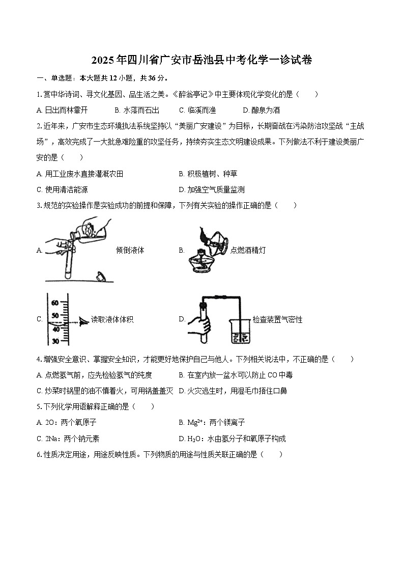 2025年四川省广安市岳池县中考化学一诊试卷-自定义类型第1页