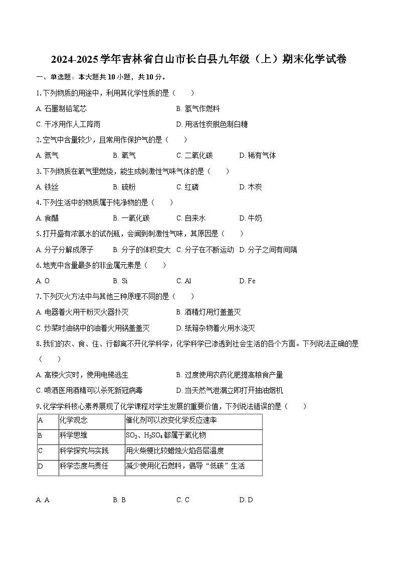 2024-2025学年吉林省白山市长白县九年级（上）期末化学试卷-自定义类型第1页