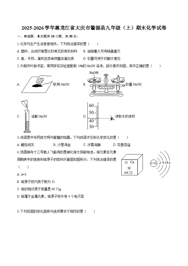 2025-2026学年黑龙江省大庆市肇源县九年级（上）期末化学试卷-自定义类型第1页