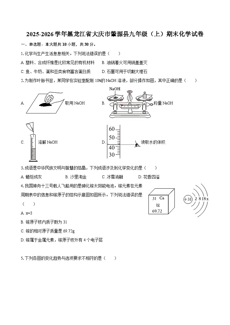 2025-2026学年黑龙江省大庆市肇源县九年级（上）期末化学试卷-自定义类型第1页