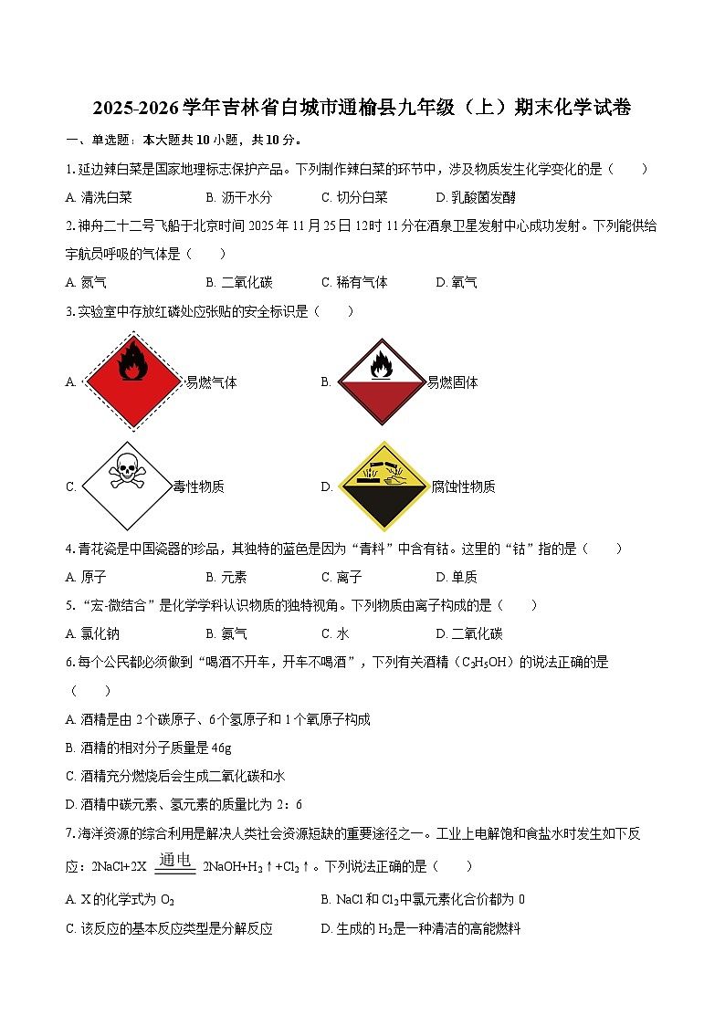 2025-2026学年吉林省白城市通榆县九年级（上）期末化学试卷-自定义类型第1页