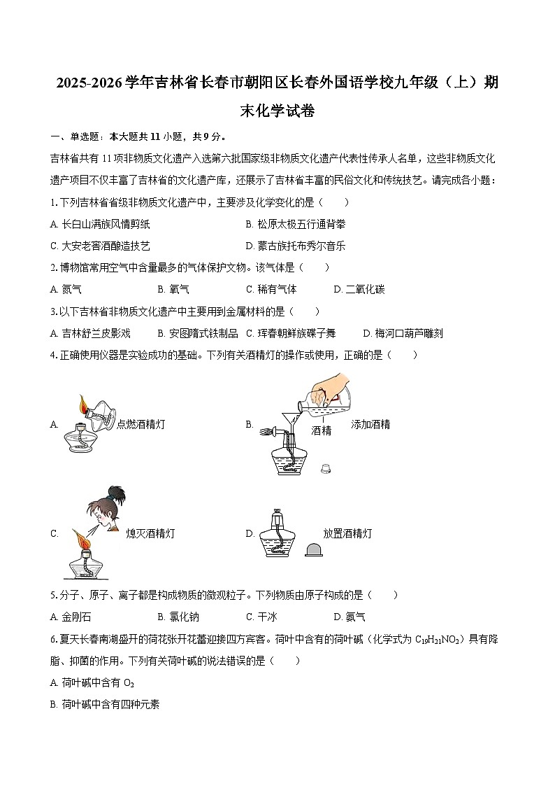 2025-2026学年吉林省长春市朝阳区长春外国语学校九年级（上）期末化学试卷-自定义类型第1页