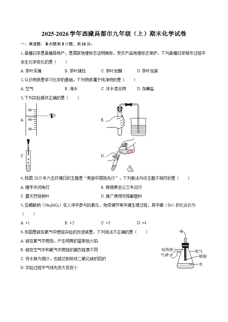 2025-2026学年西藏昌都市九年级（上）期末化学试卷-自定义类型第1页