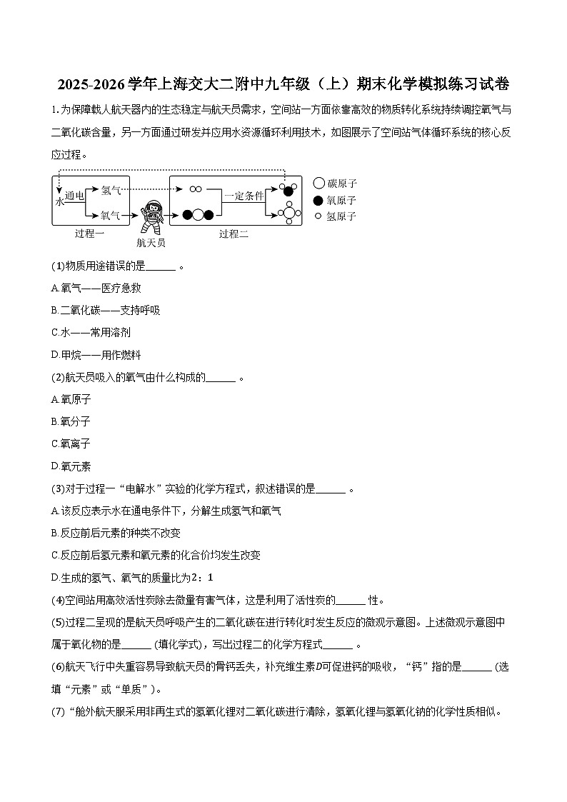 2025-2026学年上海交大二附中九年级（上）期末化学模拟练习试卷（含答案）第1页