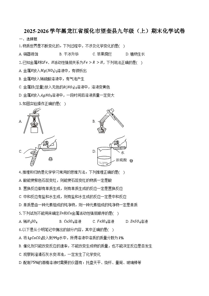 2025-2026学年黑龙江省绥化市望奎县九年级（上）期末化学试卷（含答案）第1页