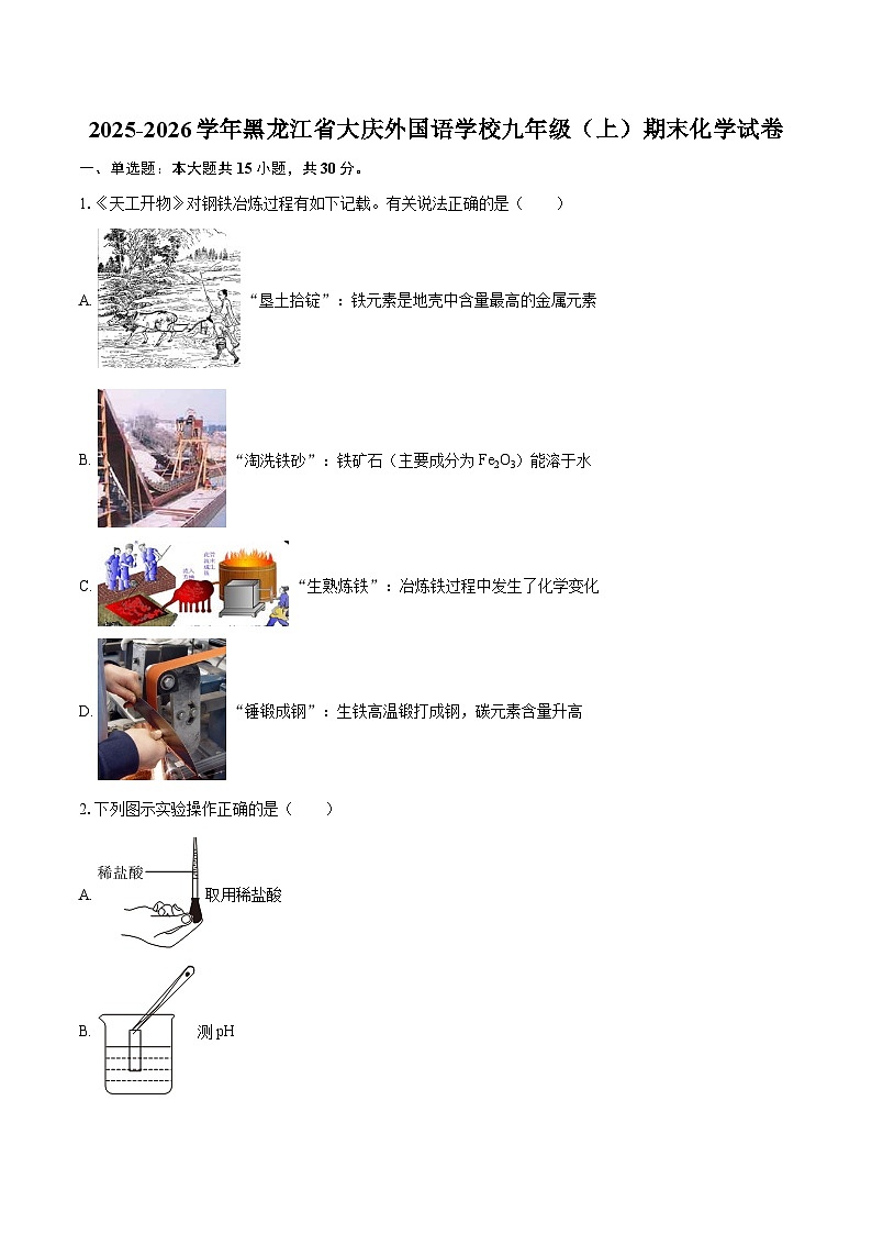 2025-2026学年黑龙江省大庆外国语学校九年级（上）期末化学试卷-自定义类型第1页