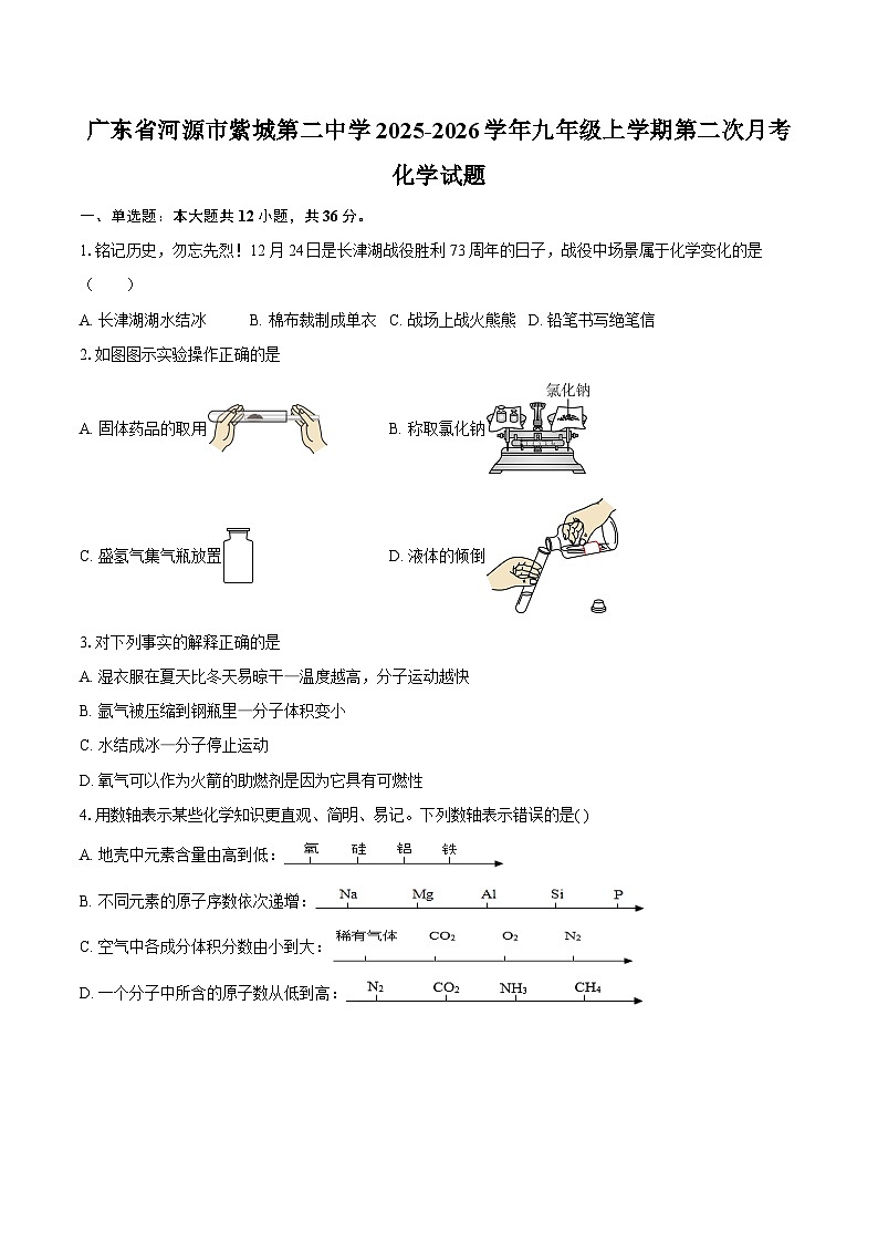 广东省河源市紫城第二中学2025-2026学年九年级上学期第二次月考化学试题-自定义类型第1页