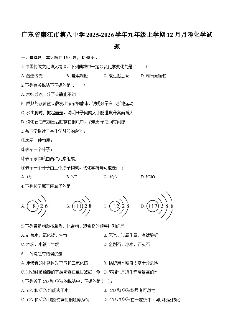 广东省廉江市第八中学2025-2026学年九年级上学期12月月考化学试题-自定义类型第1页