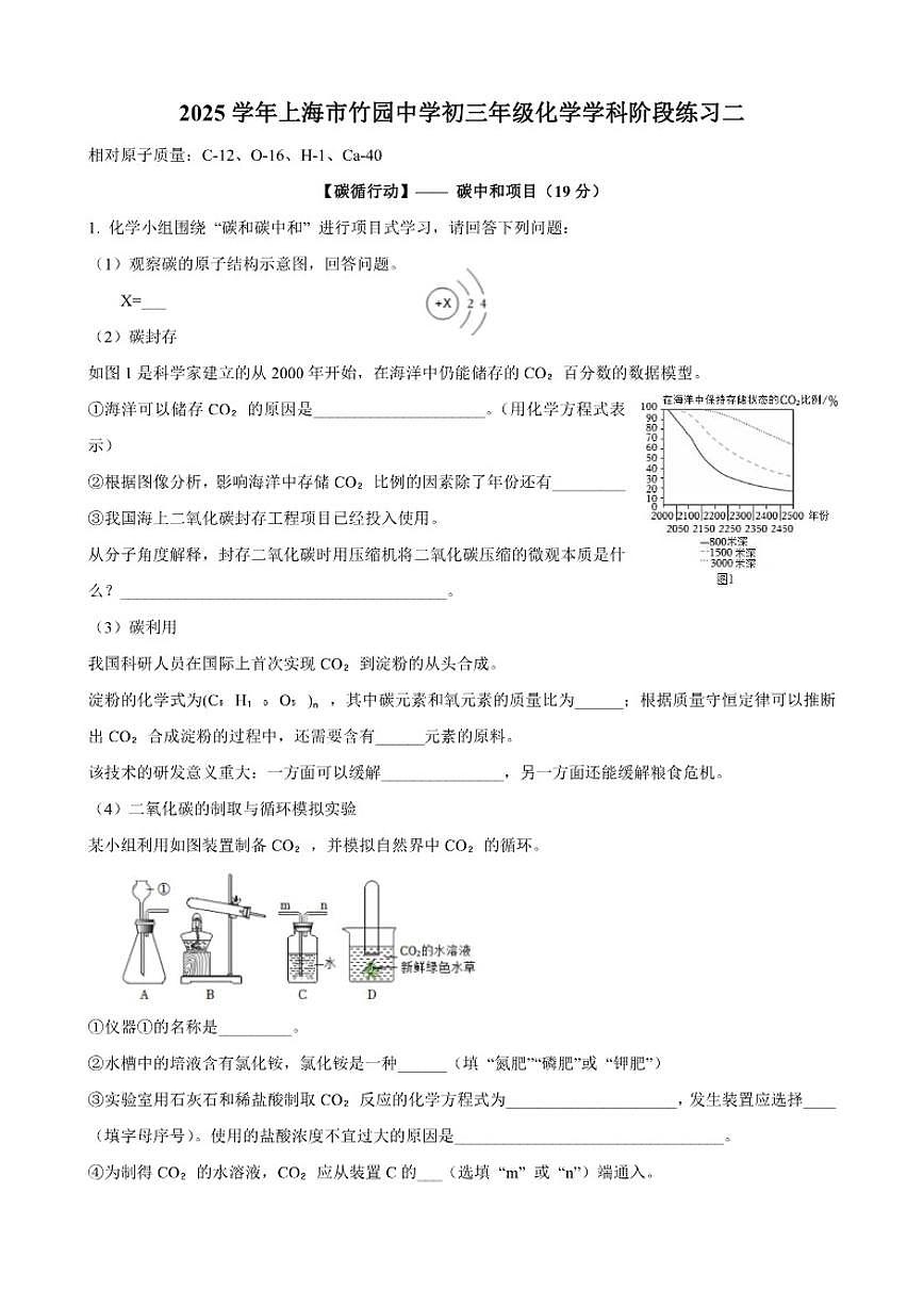 2025-2026学年上海市竹园中学九年级上学期12月月考化学试卷（有答案）第1页