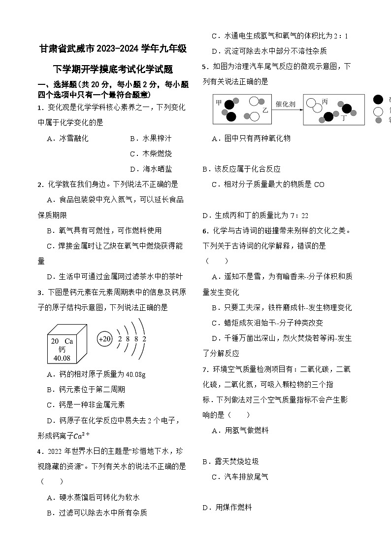 甘肃省武威市2023-2024学年九年级下学期开学摸底考试化学试题-A4第1页
