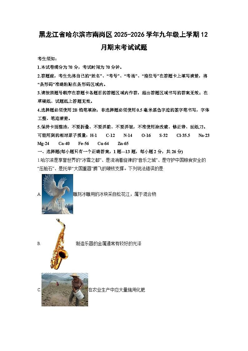 2025-2026学年黑龙江省哈尔滨市南岗区九年级上学期12月期末考试化学试卷（学生版）第1页