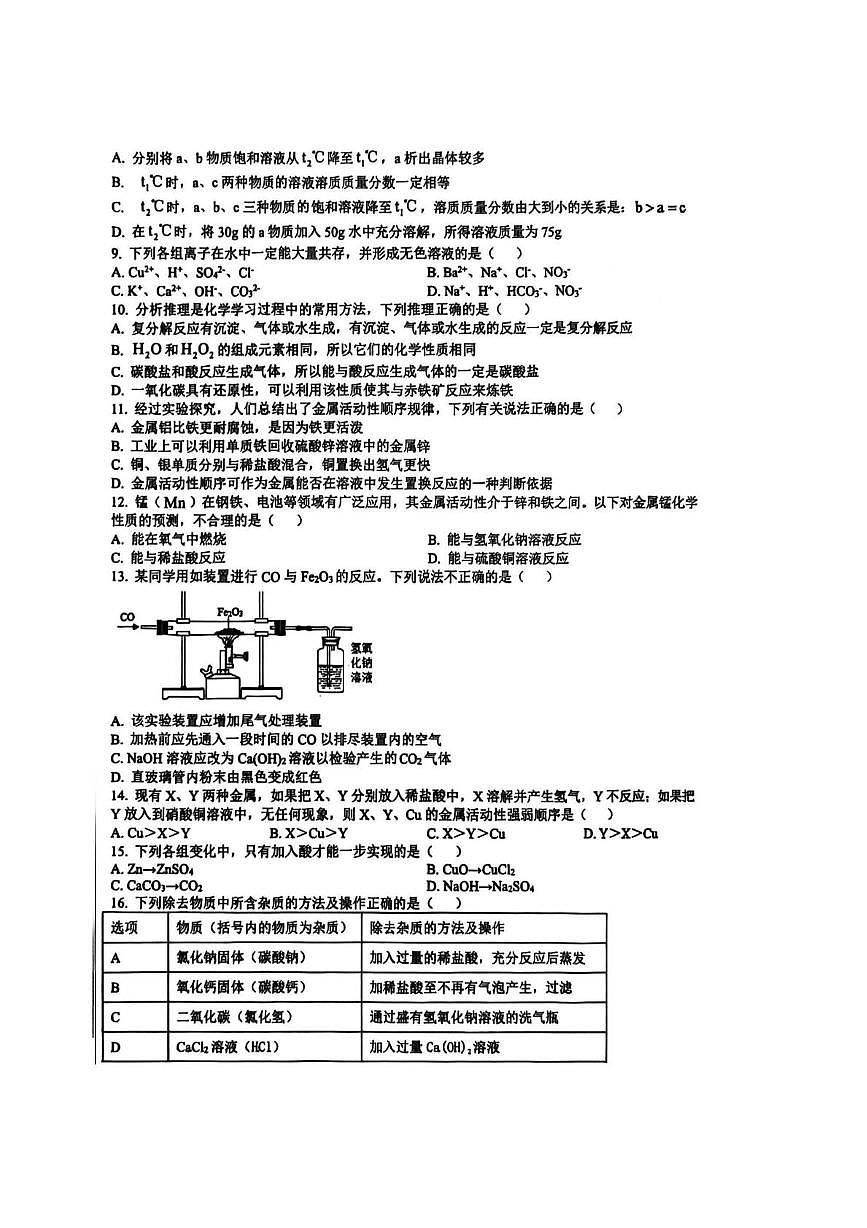 山东省泰安市高新技术产业开发区2025-2026学年九年级上学期1月月考化学试题第2页