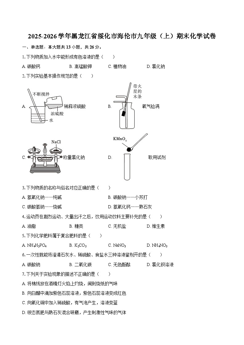 2025-2026学年黑龙江省绥化市海伦市九年级（上）期末化学试卷-自定义类型第1页