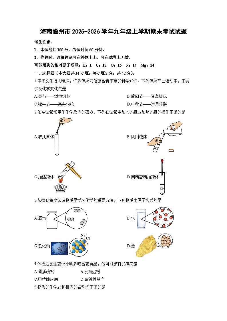 2025-2026学年海南儋州市九年级上学期期末考试化学试卷（学生版）第1页