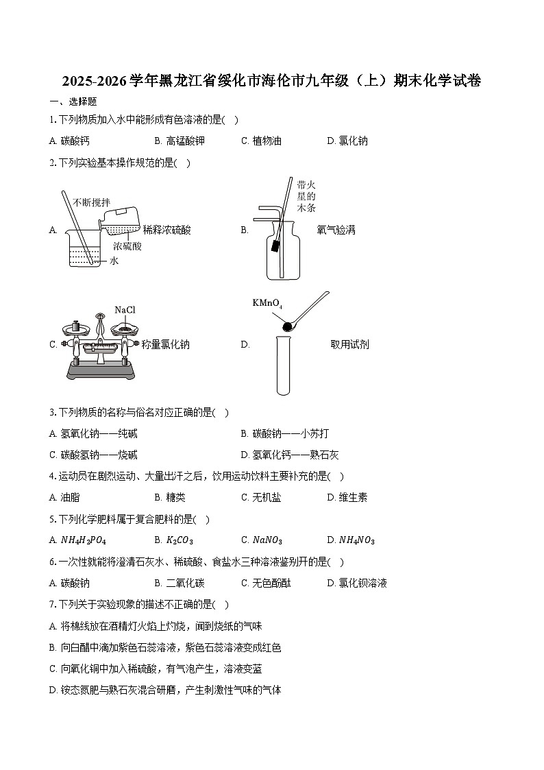 2025-2026学年黑龙江省绥化市海伦市九年级（上）期末化学试卷（含答案）第1页