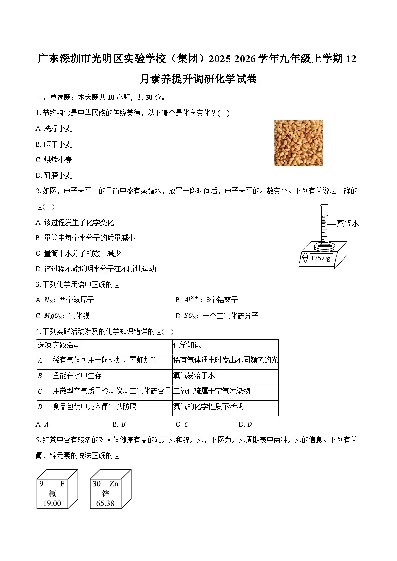 广东深圳市光明区实验学校（集团）2025-2026学年九年级上学期12月素养提升调研化学试卷（含答案）第1页