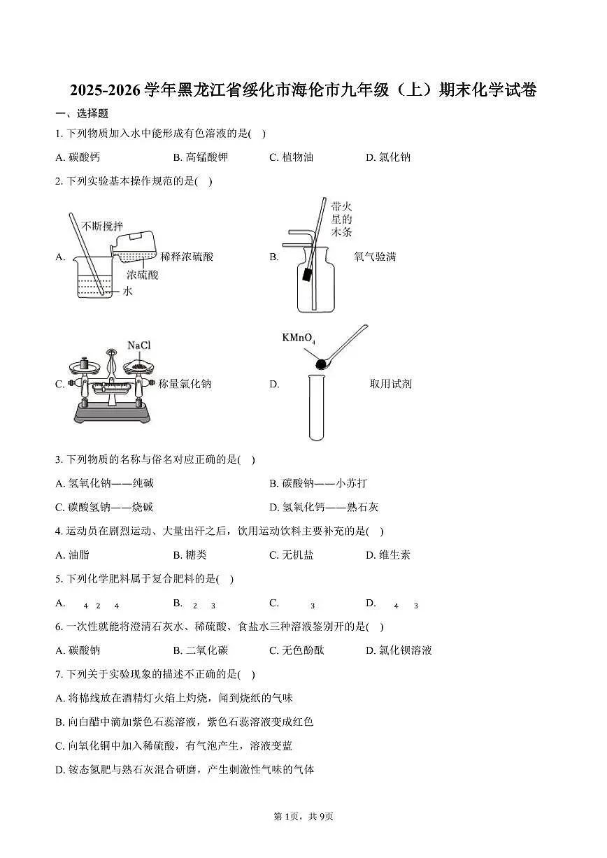 2025-2026学年黑龙江省绥化市海伦市九年级（上）期末化学试卷（含答案）第1页
