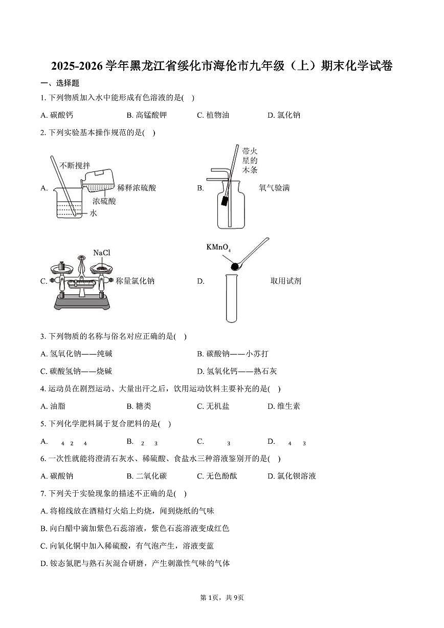 2025-2026学年黑龙江省绥化市海伦市九年级（上）期末化学试卷（含答案）第1页