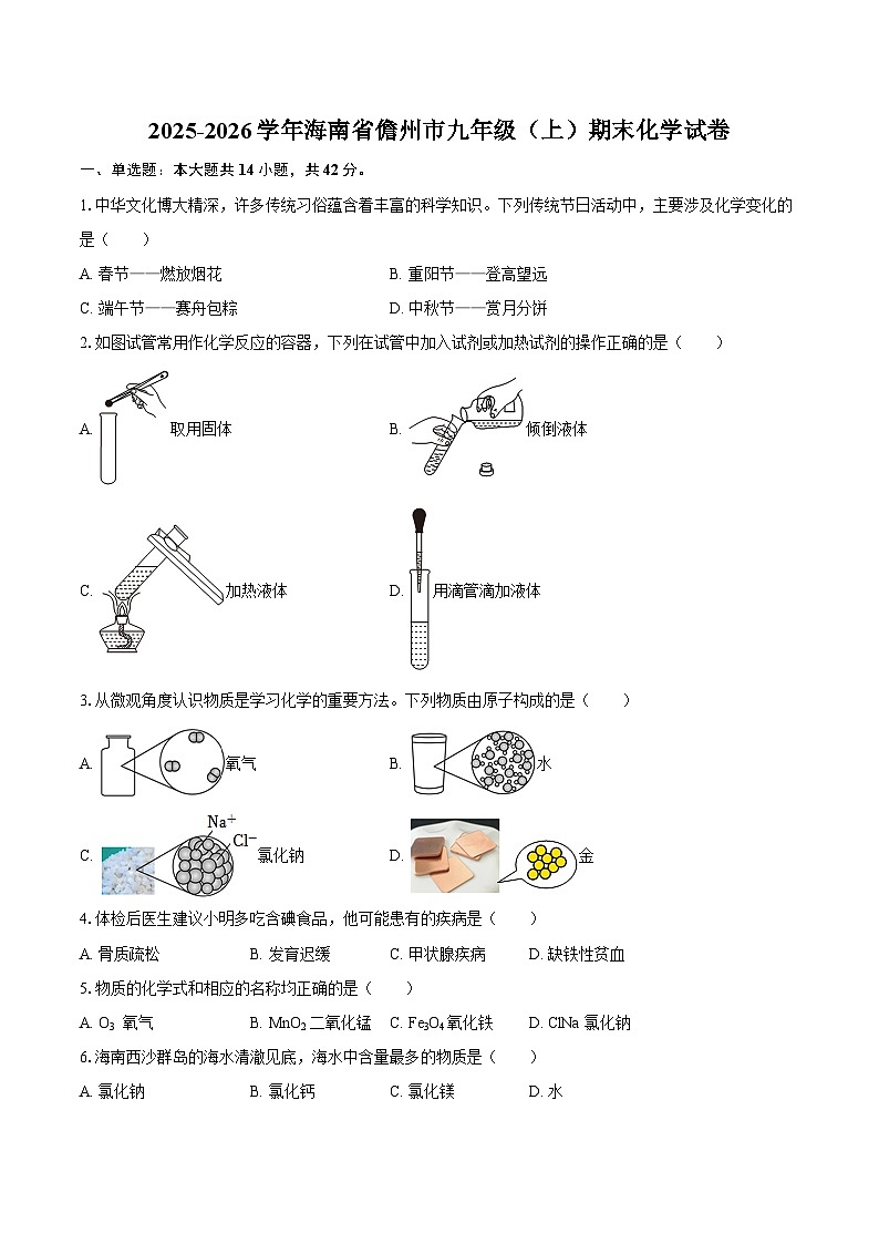 2025-2026学年海南省儋州市九年级（上）期末化学试卷-自定义类型第1页
