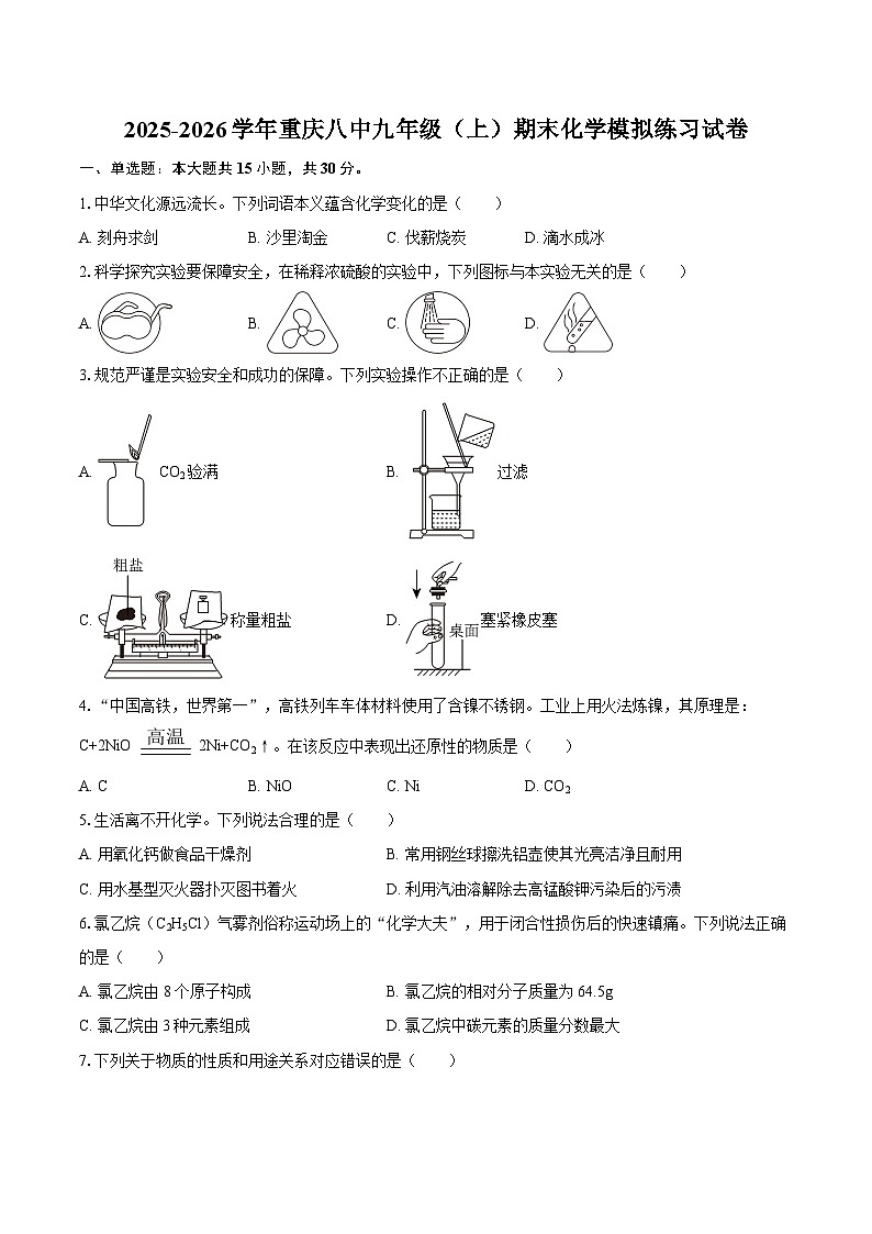 2025-2026学年重庆八中九年级（上）期末化学模拟练习试卷-自定义类型第1页