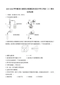 2025-2026学年黑龙江省绥化市绥棱县林业局中学九年级（上）期末化学试卷（含答案）