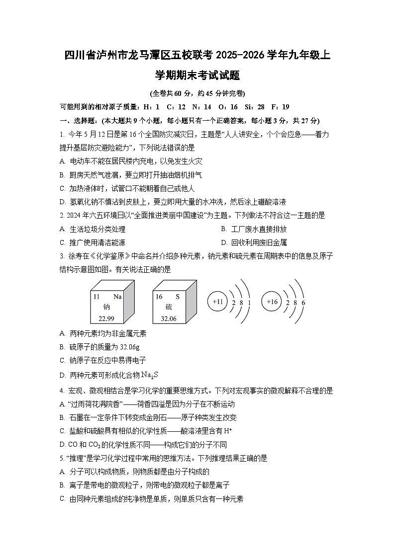 2025-2026学年四川省泸州市龙马潭区五校联考九年级上学期期末考试化学试卷（学生版）第1页