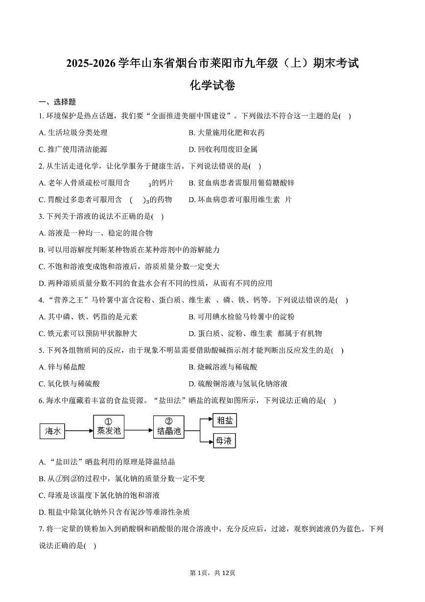 2025-2026学年山东省烟台市莱阳市九年级（上）期末化学试卷（含答案）第1页