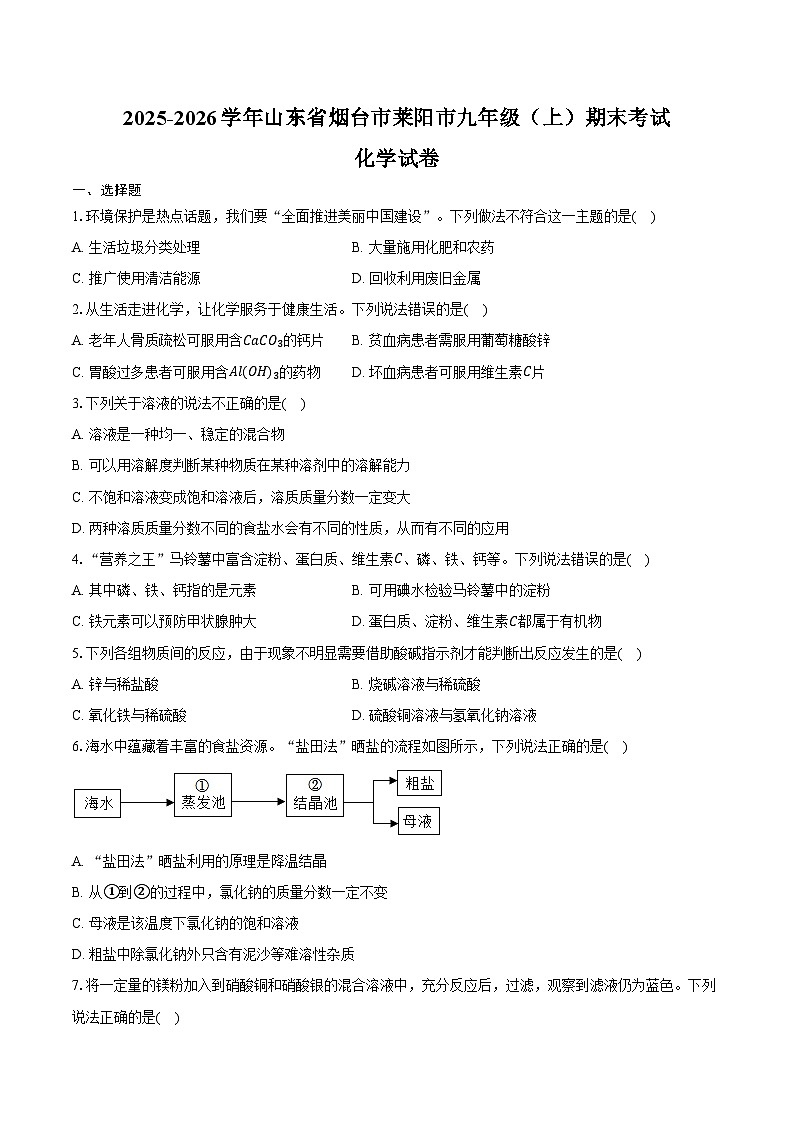 2025-2026学年山东省烟台市莱阳市九年级（上）期末化学试卷（含答案）第1页