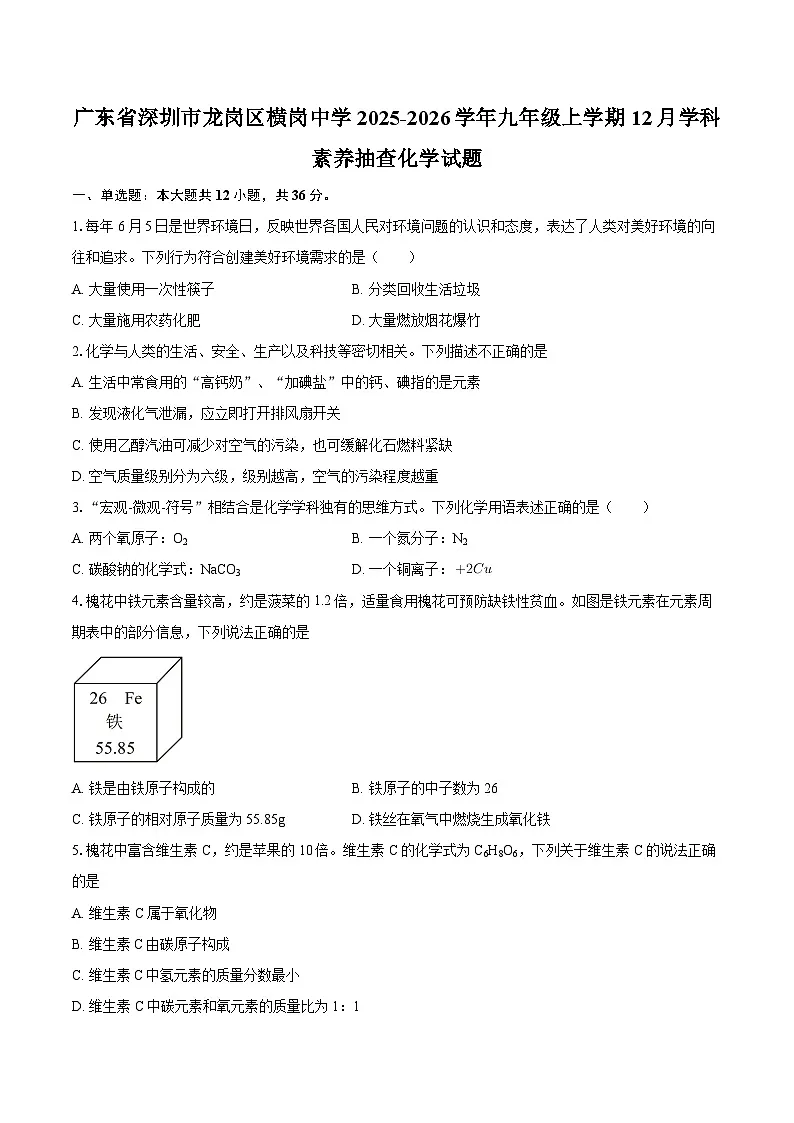广东省深圳市龙岗区横岗中学2025-2026学年九年级上学期12月学科素养抽查化学试题-自定义类型第1页