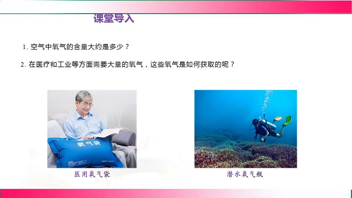 17843309第3页