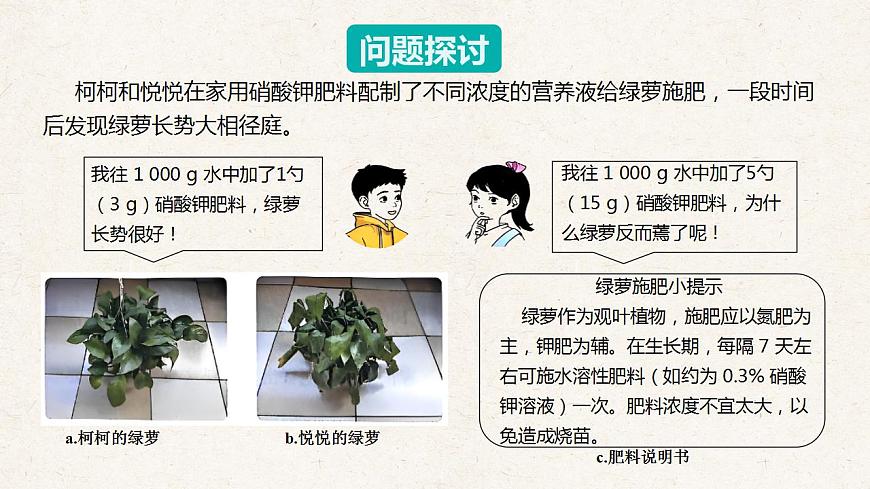 17843923第3页