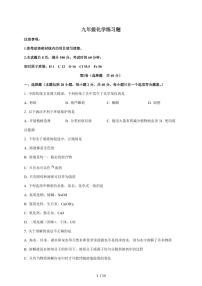 山东省泰安市岱岳区2026届九年级上学期期中考试化学试题（含答案）
