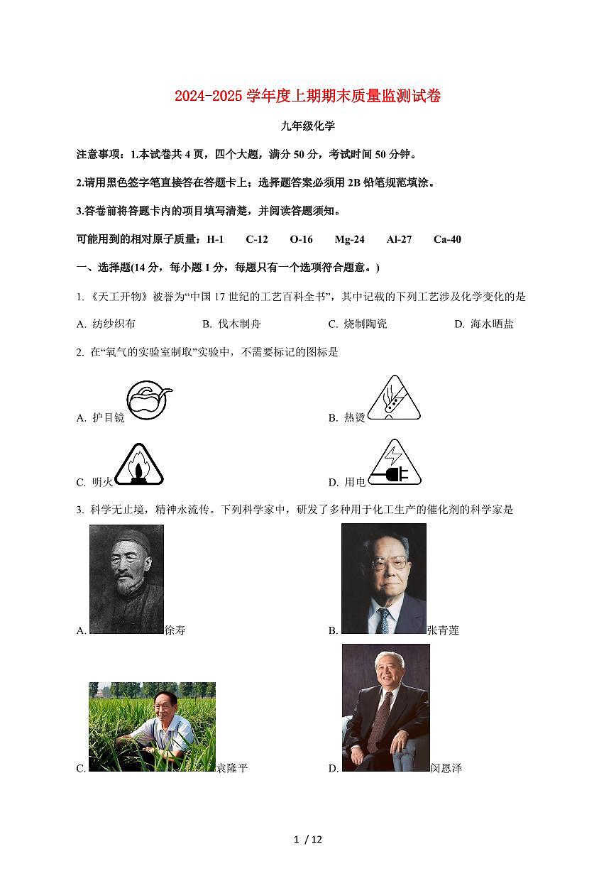 河南省信阳市罗山县2025届九年级上学期1月期末考试化学试卷（附答案）第1页