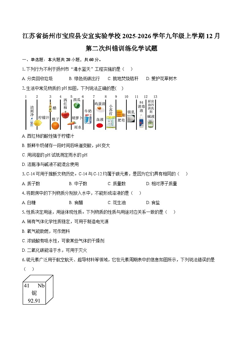 江苏省扬州市宝应县安宜实验学校2025-2026学年九年级上学期12月第二次纠错训练化学试题-自定义类型第1页