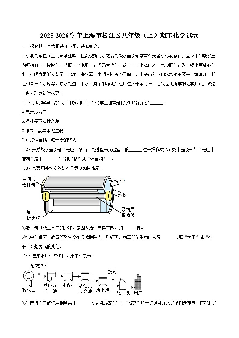 2025-2026学年上海市松江区八年级（上）期末化学试卷-自定义类型第1页