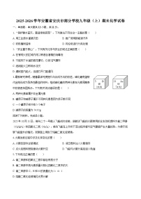 2025-2026学年安徽省安庆市部分学校九年级（上）期末化学试卷-自定义类型